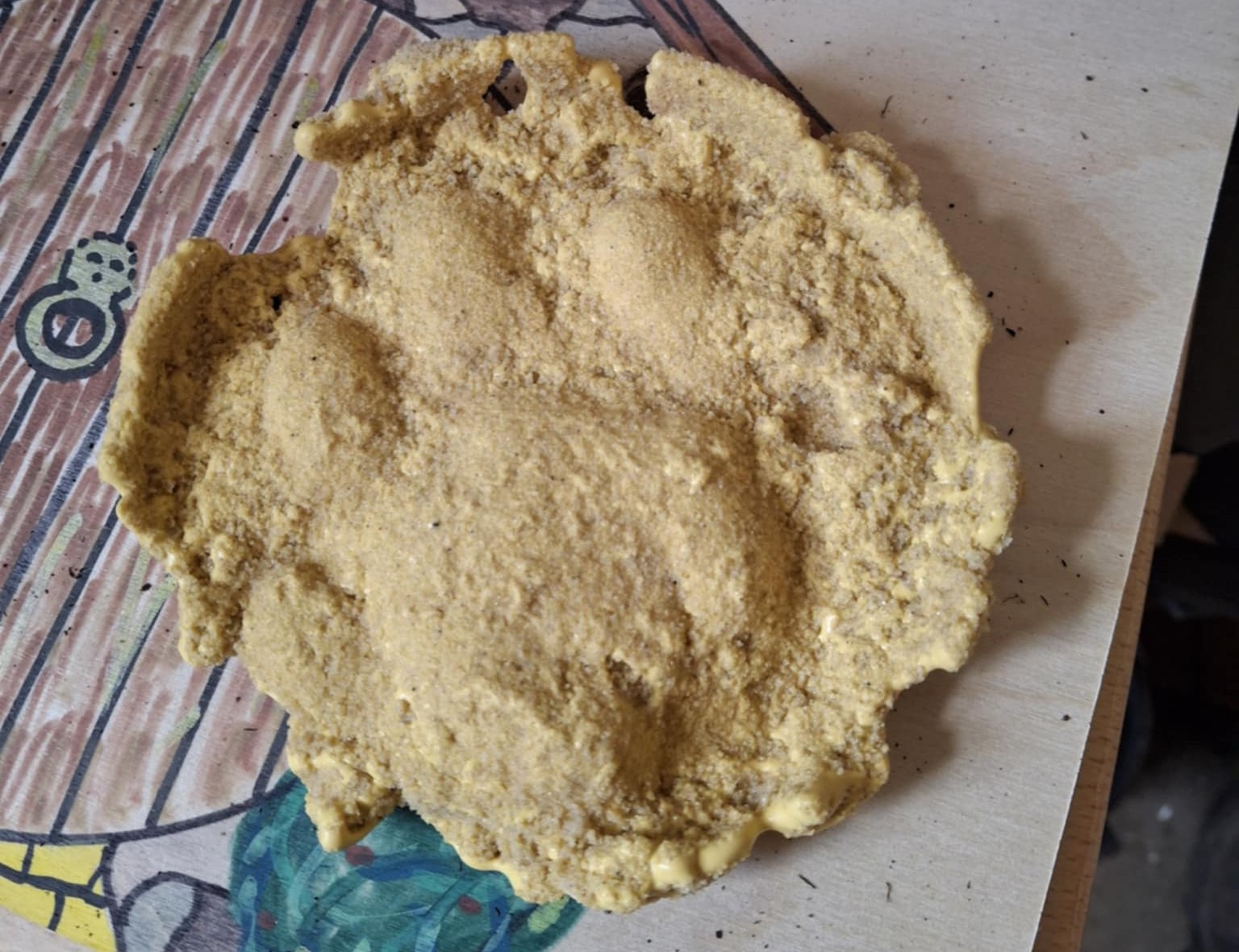 Snow leopard paw print_Wright dental_Climate Springboard