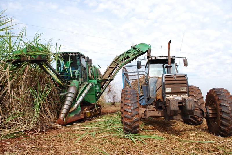 Harvesting at the Piricicaba bio-ethanol plant in Brazil (Image: Dept of Energy and Climate Change, CC BY-NC-ND 2.0)