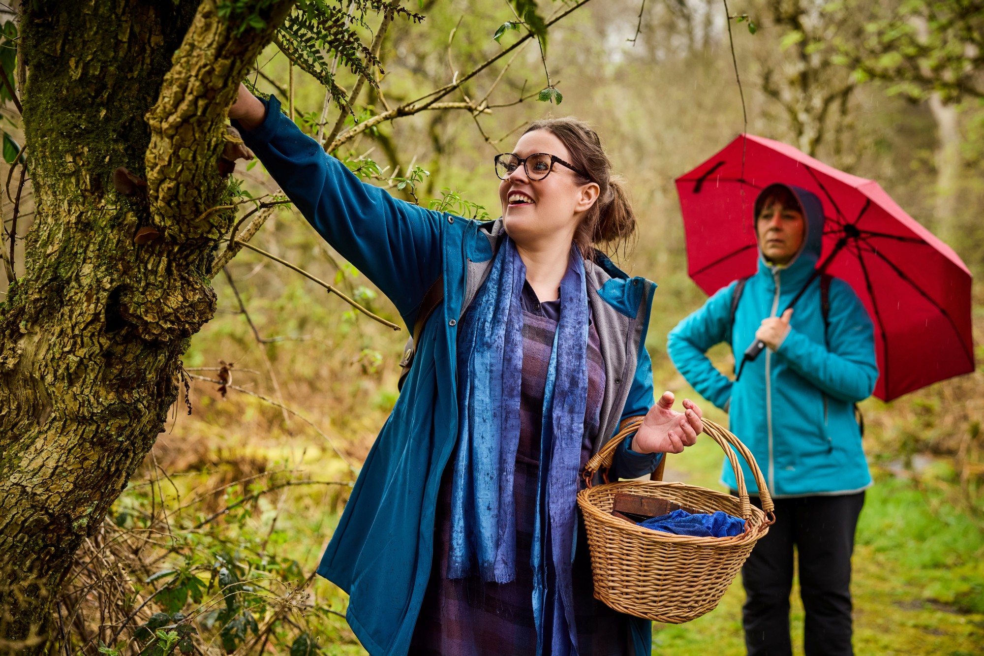20260417_curious_in_nature_foraging_cashel_forest_am_010 20260417_curious_in_nature_foraging_cashel_forest_am_010